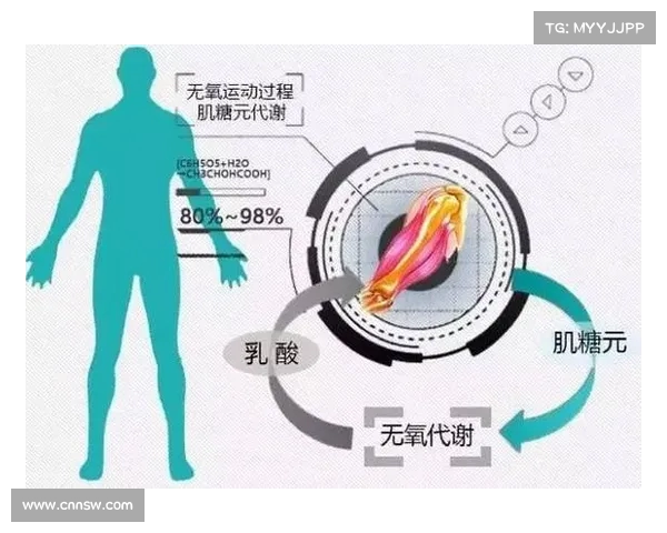 高尔夫运动的魅力与技巧探究：从基础知识到竞技水平提升的全面解析